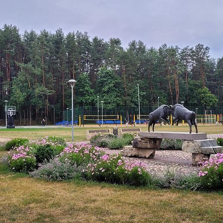 Chalet Villa REX Druskininkai Esterno foto