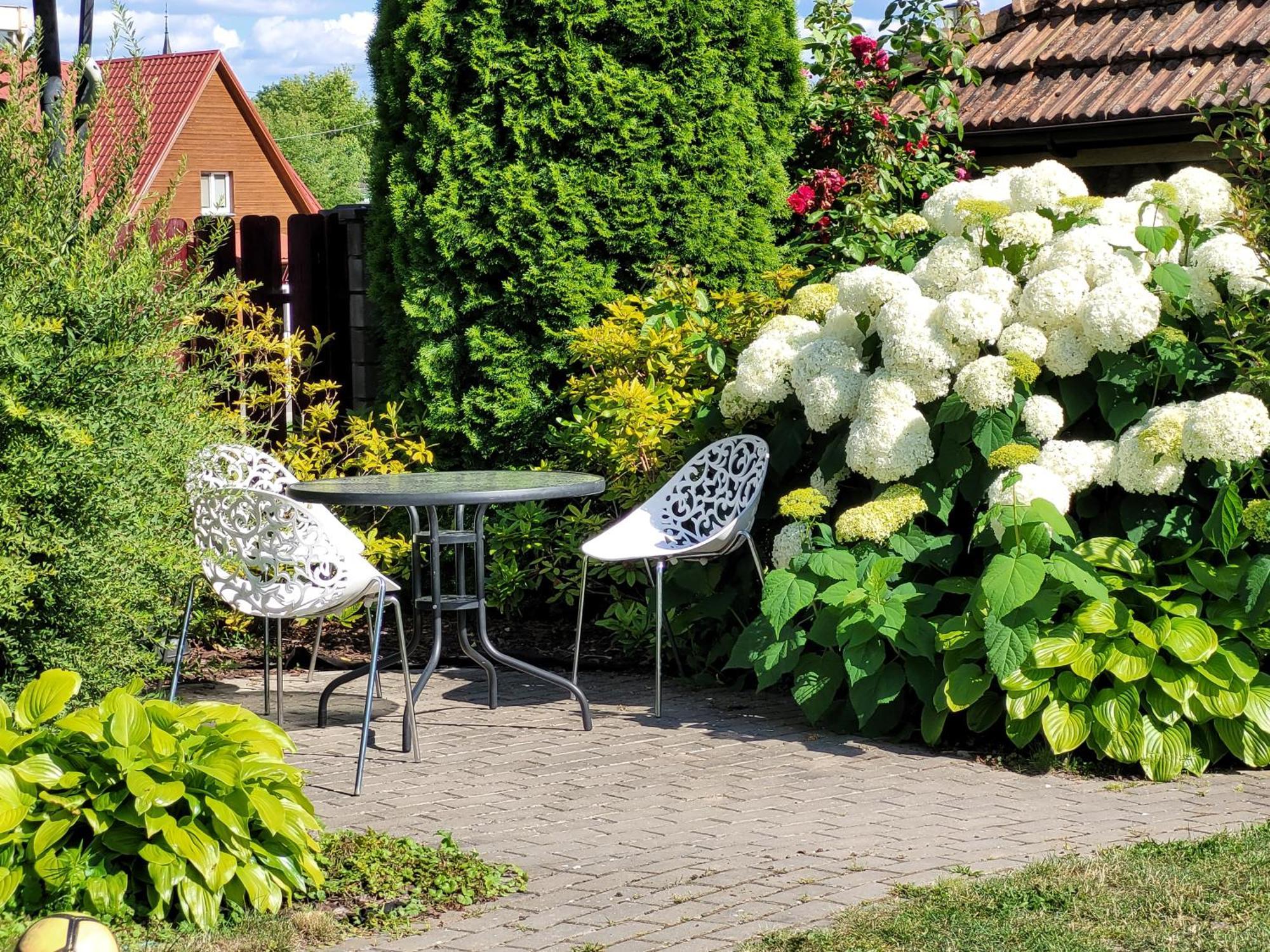 Chalet Villa REX Druskininkai Esterno foto