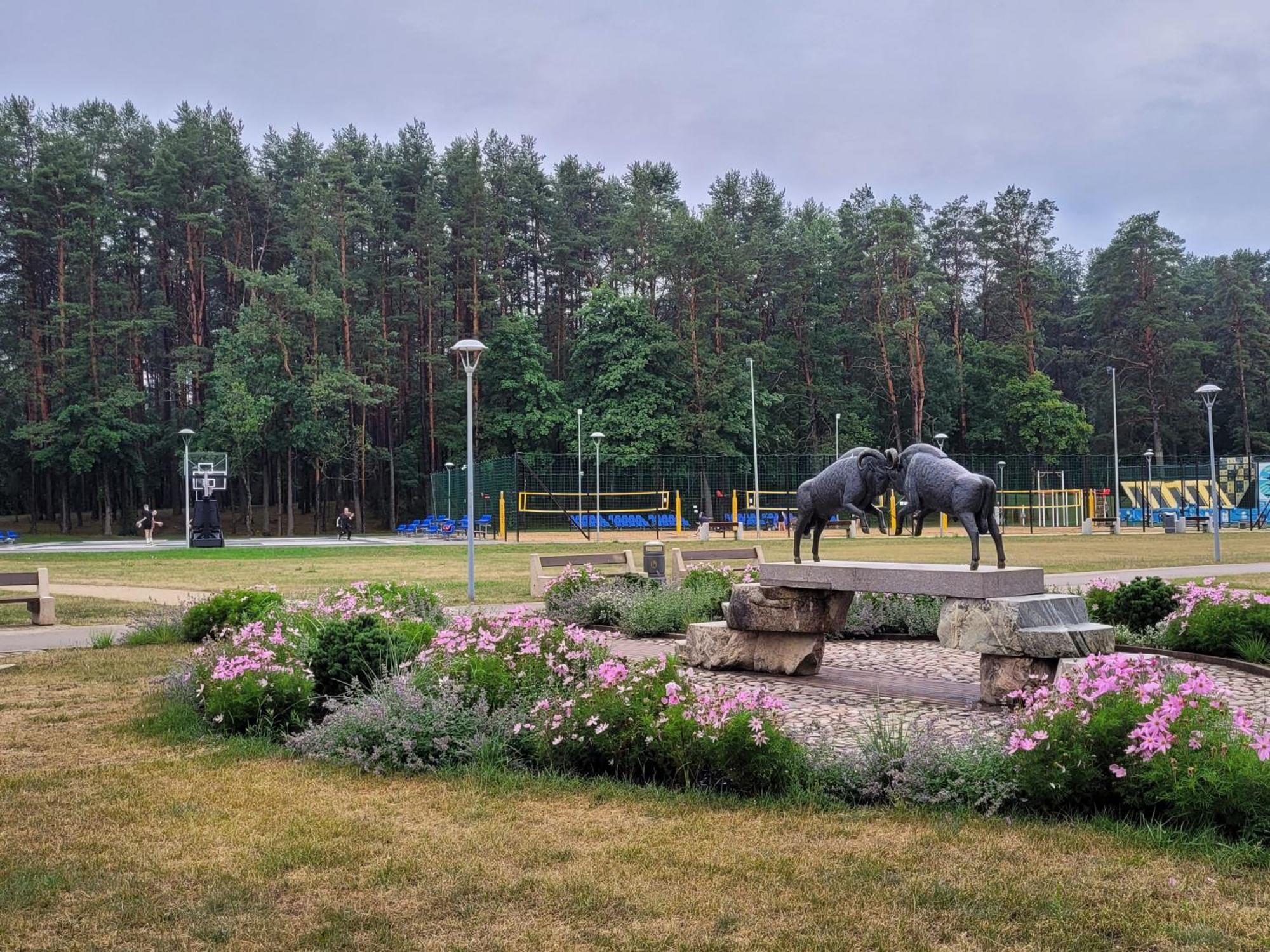 Chalet Villa REX Druskininkai Esterno foto