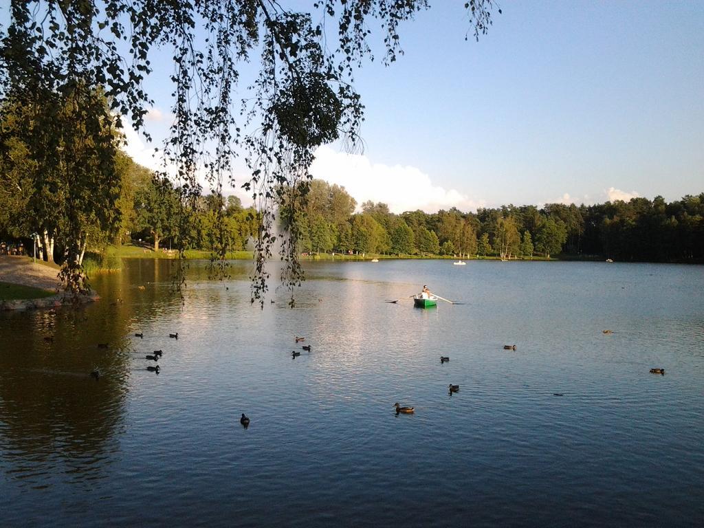 Chalet Villa REX Druskininkai Esterno foto